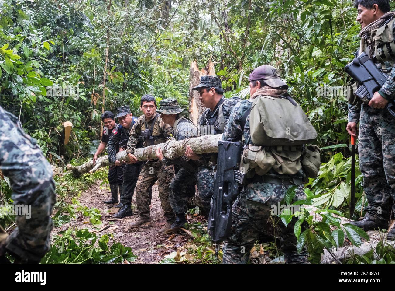 ©Olivier Donnars / Le Pictorium/MAXPPP - Olivier Donnars / Le Pictorium - 23/11/2019 - Perou / Madre de Dios - La cargaison de plantes part pour la Partie devastee de la Reserve nationale de Tambopata, Sous l'oeil des marines et des rangers du Service national des espaces naturels proteges par l'Etat (SERNANP). Sur une Piste chaotique, envion 30 000 plants doivent e^tre transportes depuis le poste d'entree militaire jusqu'au au Point de reboisement dans le Parc national de Tambopata . La vingtaine de kilome`tres neccite 3 a` 4h de Moto. Sur une Piste de terre et de ponts en bois sommaires. Stockfoto